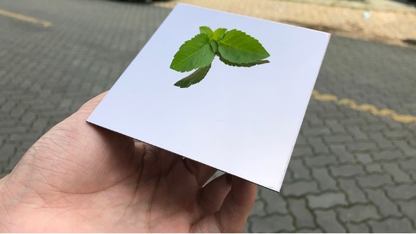 不锈钢装饰板加工需要注意什么？